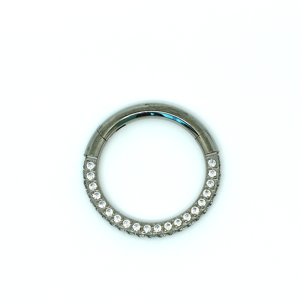 ASTM F136 Titanium G23 Cubic Zirconia Pave On 2 Face and Side  Hinged Segment Ring Clicker