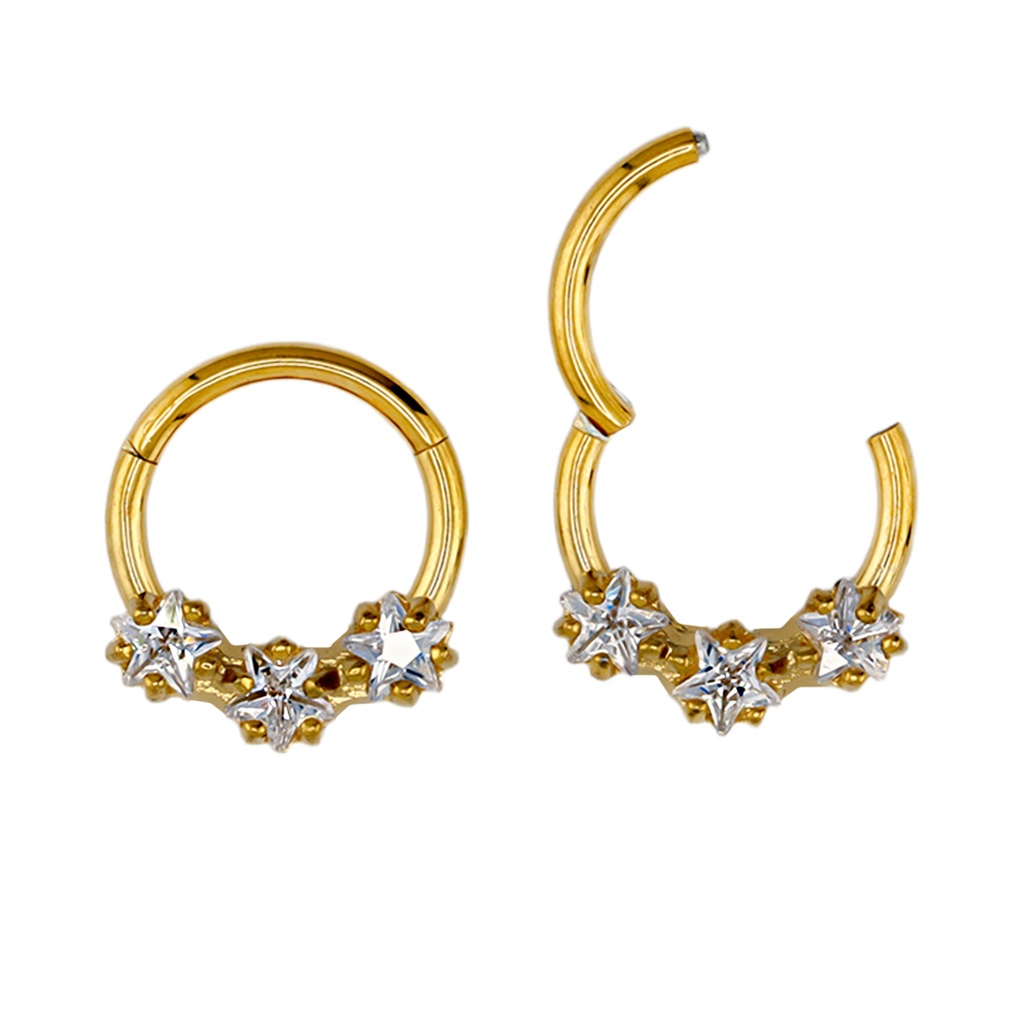 Steel 316L Gold Ti-PVD Hinged Segment Ring with Star Shaped  Crystal  in Prong Setting 