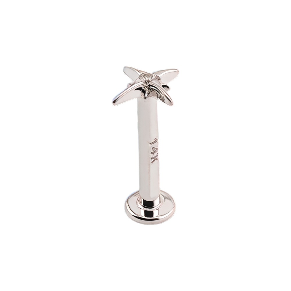14K White Gold Internally Labret with Synthetic Diamond in Star Shape Top 