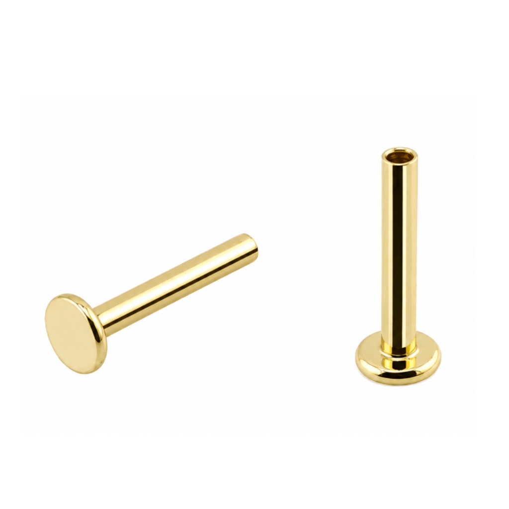 Titanium G23/ASTM F-136 Gold Ti-PVD Coated Push-In Labret without Top