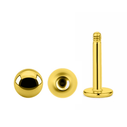 Steel 316L Gold Ti-PVD Coated Labret with Screwball - 16GA(1.2mm)