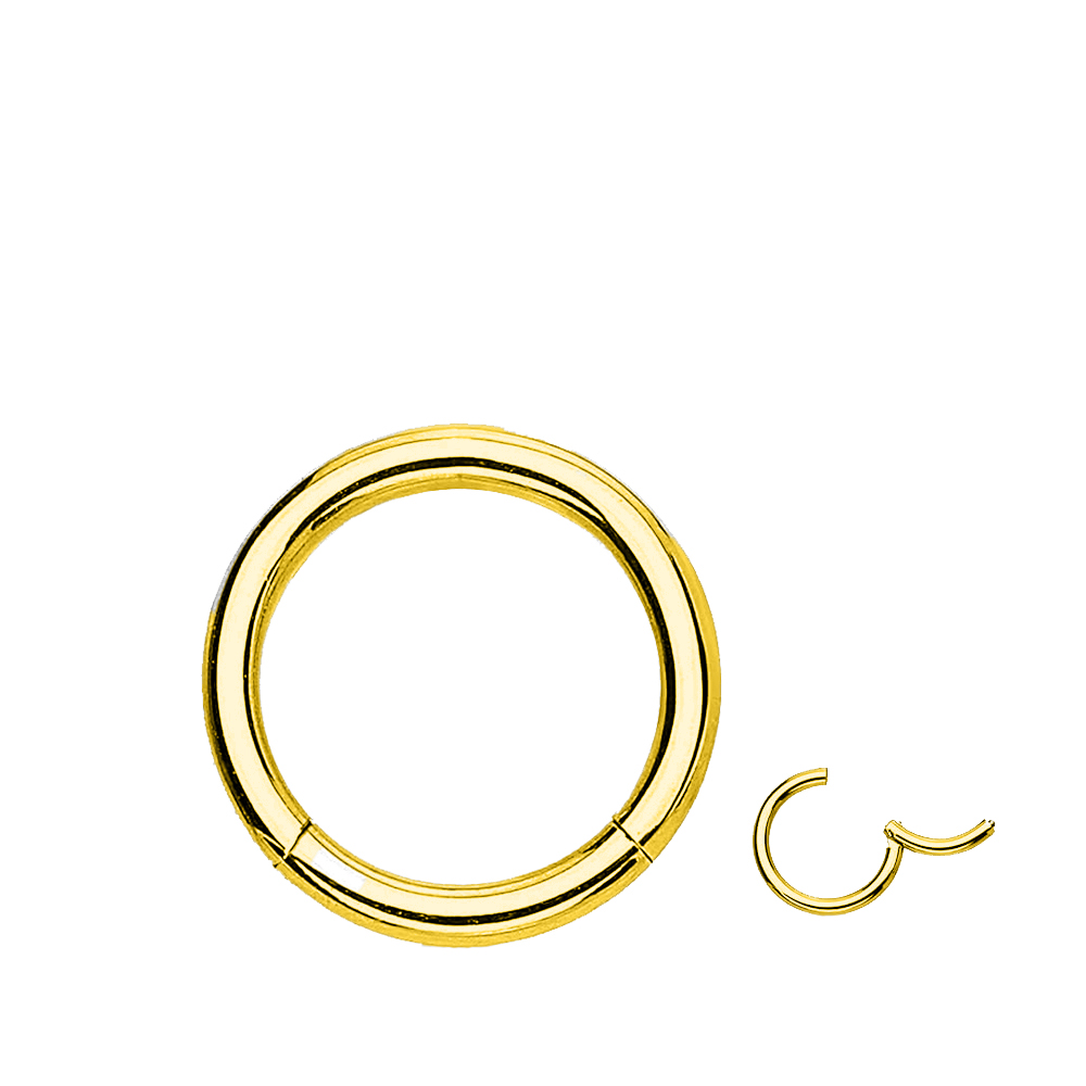 Steel 316L Gold Ti-PVD Coated Hinged Segment Ring Clicker