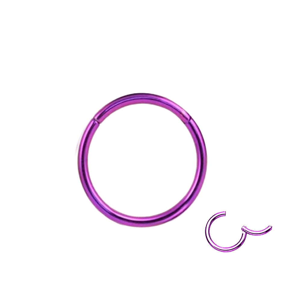 Steel 316L Purple Ti-PVD Coated Hinged Segment Ring Clicker