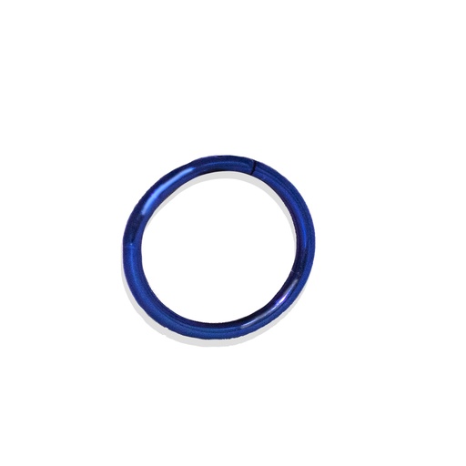 Steel 316L Blue Ti-PVD Coated Hinged Segment Ring Clicker