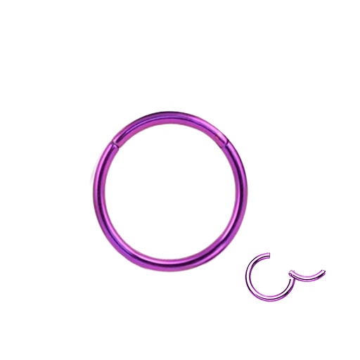 Steel 316L Purple Ti-PVD Coated Hinged Segment Ring Clicker