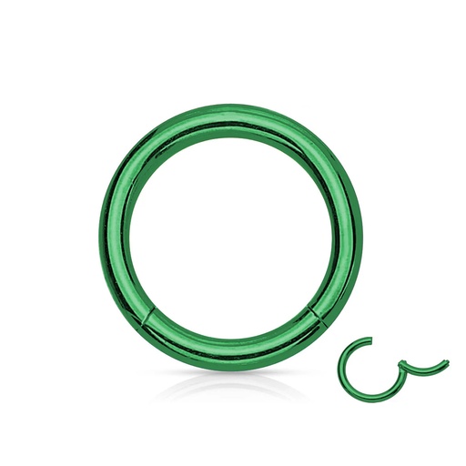 Steel 316L Green Ti-PVD Coated Hinged Segment Ring Clicker