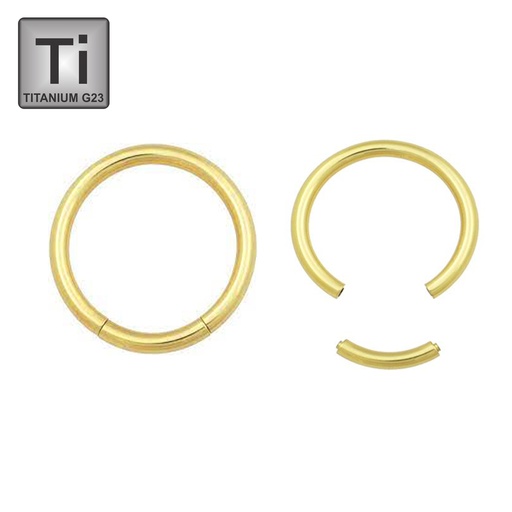 Titanium G23 Gold Ti-PVD Coated Segment Ring (Big Thickness) 