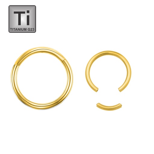 Titanium G23 Gold Ti-PVD Coated Segment Ring without Hinge 