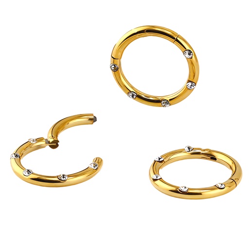 Steel 316L Gold Ti-PVD Coated Hinged Segment Ring Clicker with  Five Crystals