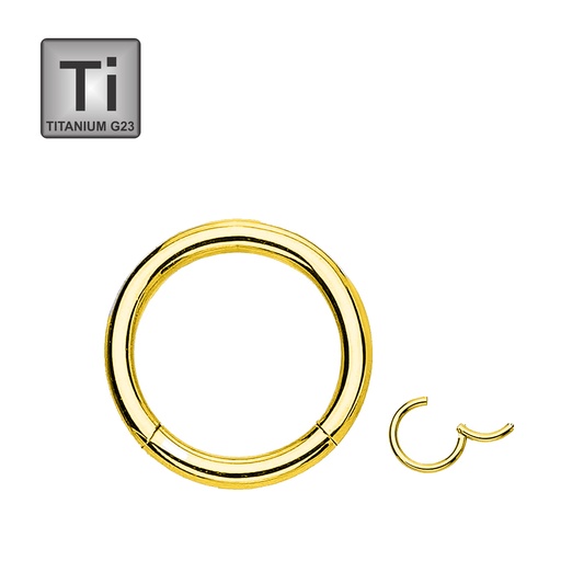 Titanium G23 Gold Ti-PVD Coated Hinged Segment Ring Clicker