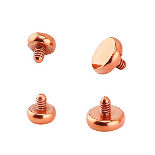 Steel 316L Rose Gold Ti-PVD Coated Round Flat Disc Dermal Anchor - 16GA(1.2mm)  