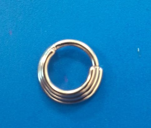 [S-SGM345-1.2-8] Steel 316L Stacked Hinged Segment Ring 