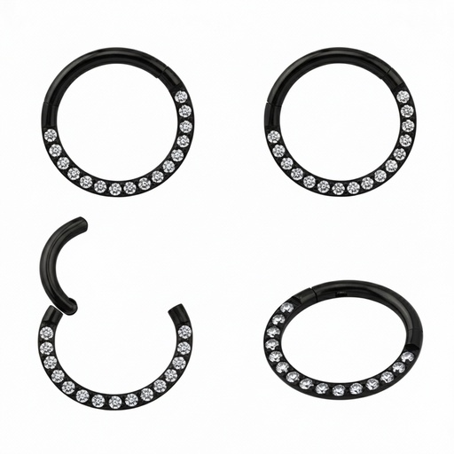 Steel 316L Black Ti-PVD Coated Hinged Segment Ring with Crystal Pave   