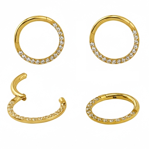 Steel 316L Gold Ti-PVD Coated Hinged Segment Ring with Crystal Pave    