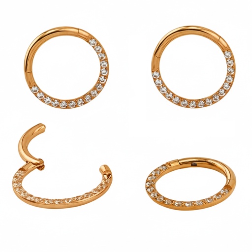 Steel 316L Rose Gold Ti-PVD Coated Hinged Segment Ring with Crystal Pave     