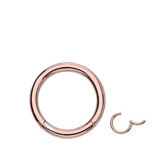 Steel 316L Rose Gold Ti-PVD Coated Hinged Segment Ring Clicker