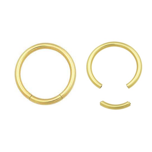 [GDS-SGM01-1.2-8] Steel 316L Gold Ti-PVD Coated Segment Ring without Hinge - 16GA(1.2mm)