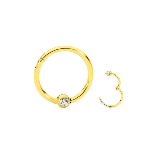 Steel 316L Gold Ti-PVD Coated Hinged Segment Ring with Clip-in Crystal Ball 